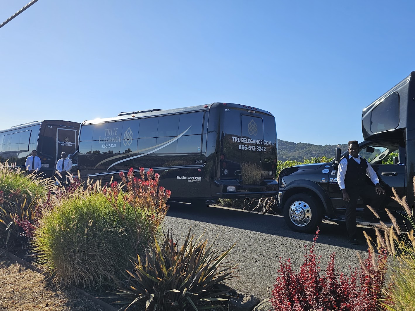 Motor coaches with uniformed chauffeurs